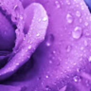 Meet your Posher, Huayun